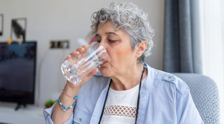Az anyósom nem fogyókúrázott, csak elkezdte így inni a vizet Fotó: Getty Images
