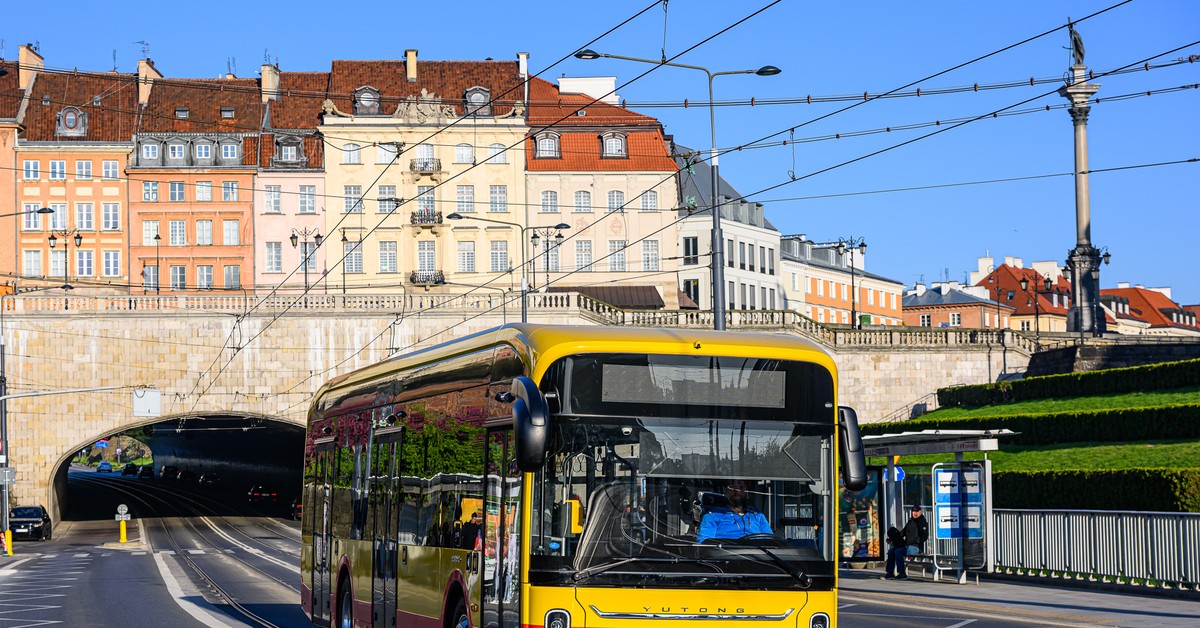 Wróbel: bogowie ekraniku, czyli nieustanne łajanie