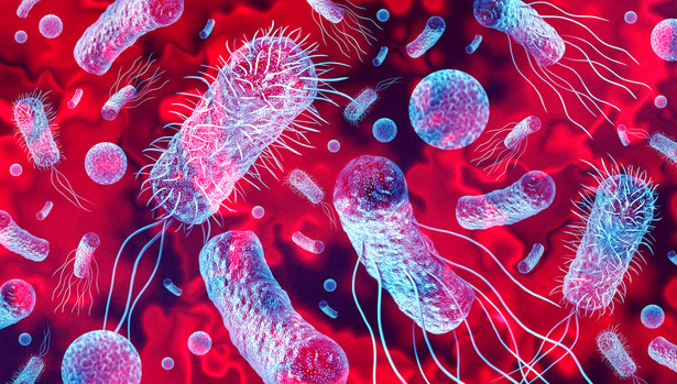 Pierwsze takie odkrycie od 50 lat. Pojawił się antybiotyk na śmiertelnie niezpieczną bakterię