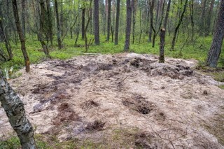 Obiekt powietrzny znaleziony pod Bydgoszczą. Prokuratura komentuje sprawę