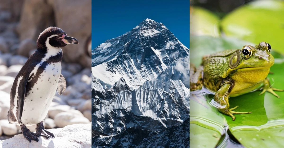 Szybki QUIZ z wiedzy ogólnej dla orłów. Sprawdź, czy należysz do tego grona!