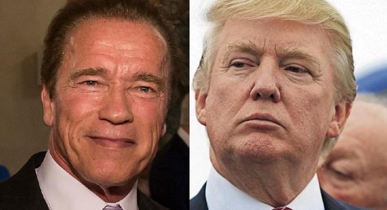Arnold Schwarzenegger replaces Donald Trump on 'Celebrity Apprentice'