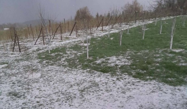 Grad veličine oraha u Prijepolju