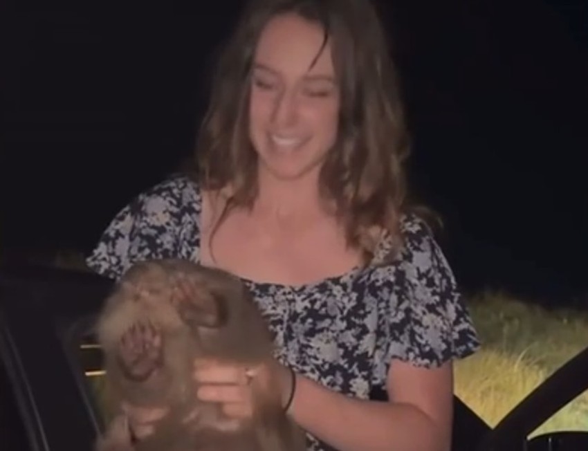 Sem sa preplašenim vombatom