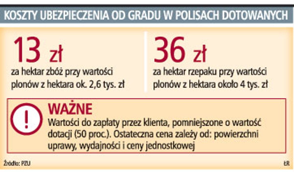 Koszty ubezpieczenia od gradu w polisach dotowanych