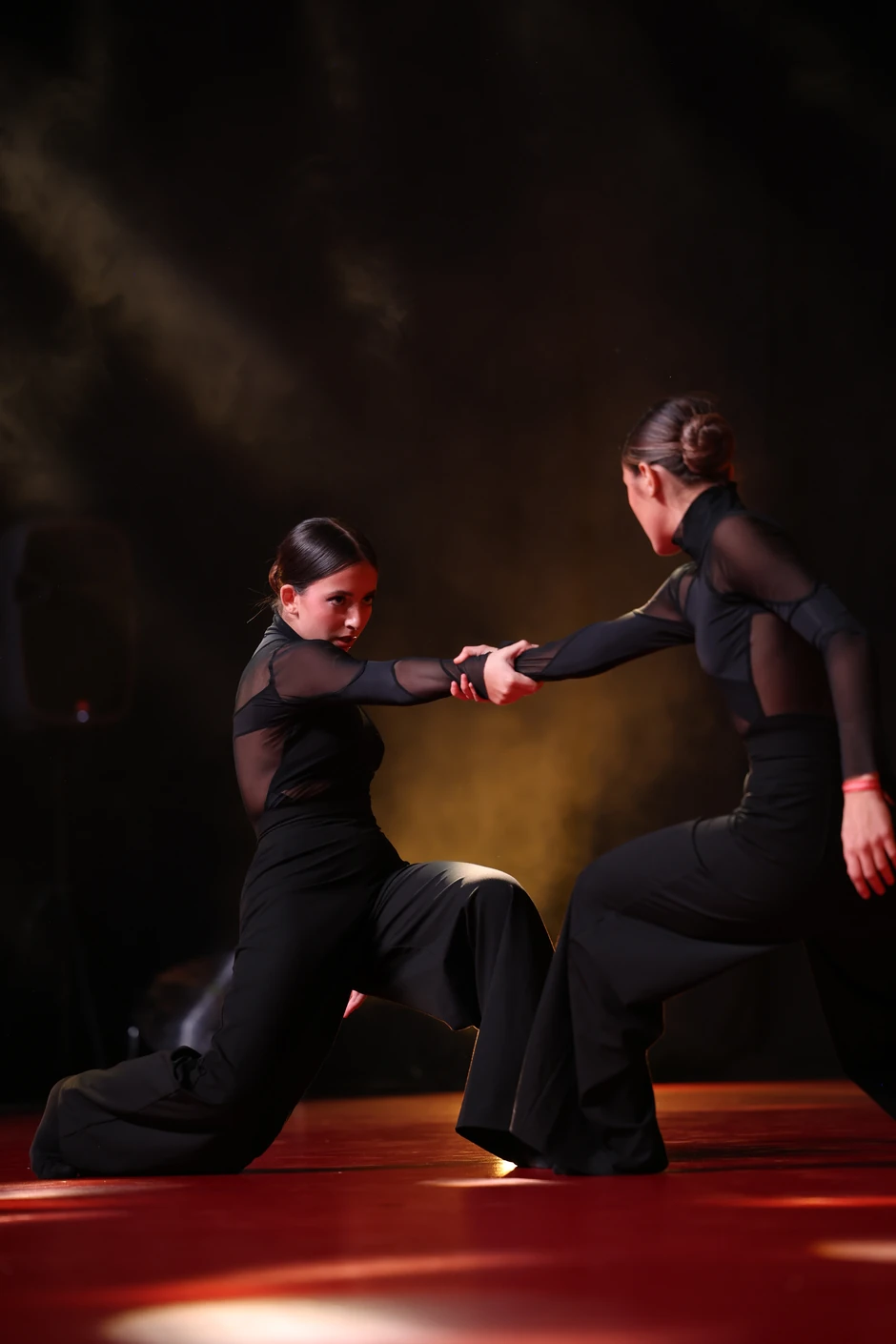 Svetsko prvenstvo u plesu u odrganizaciji World Dance Sport