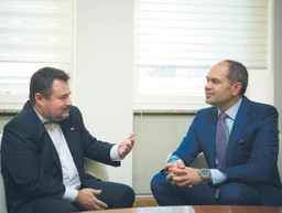 Redeleanu: Druga Japonia? Dziś lepiej być drugą Polską [WYWIAD]