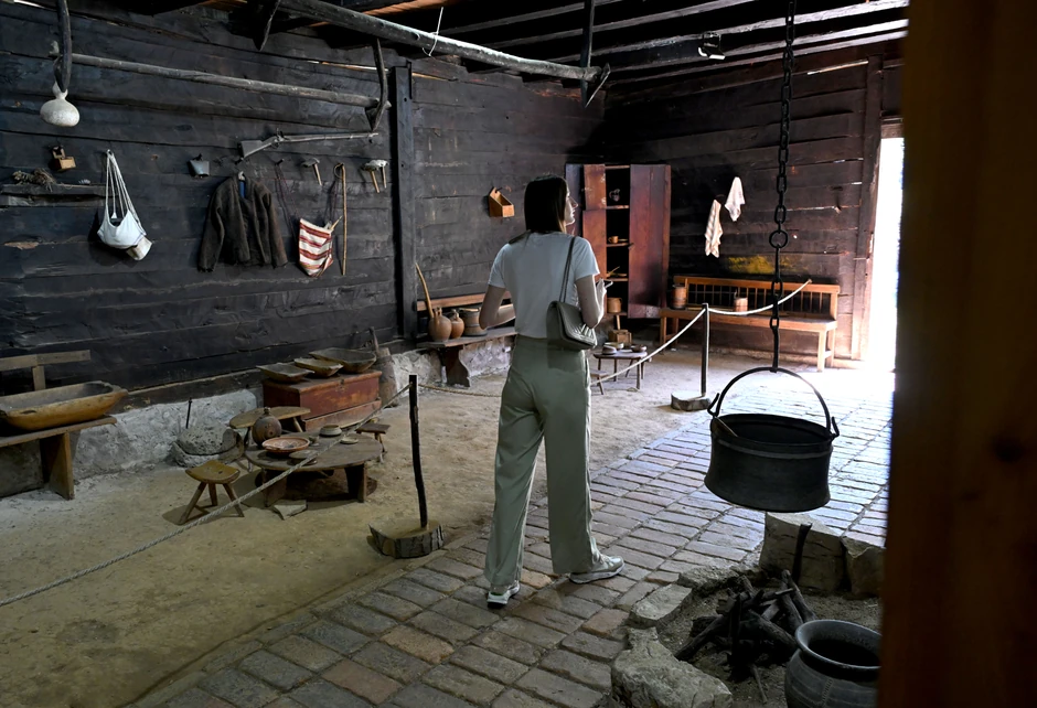 Kuća Živojina Mišića