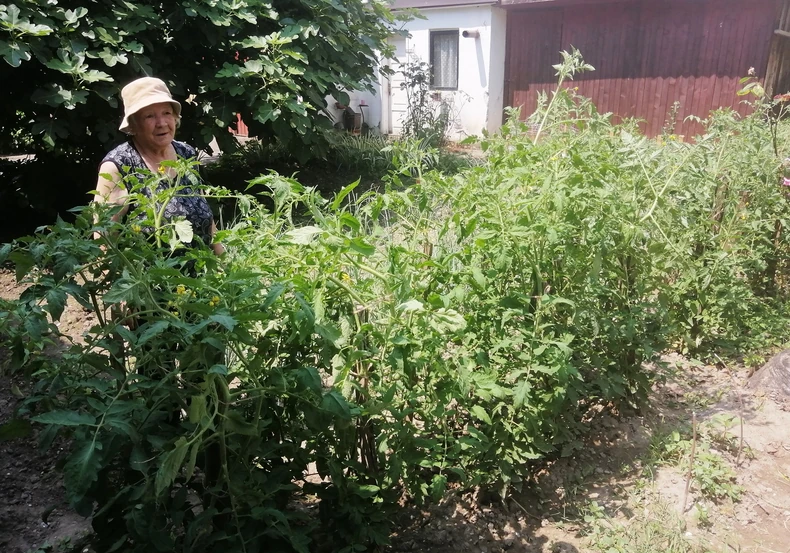 Gradske bašte u Gradiški