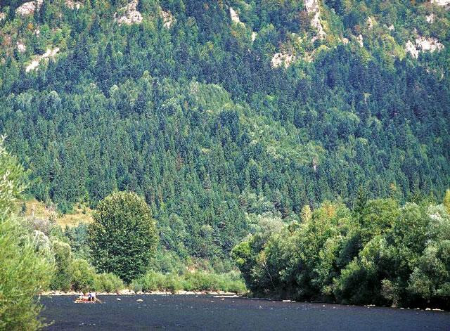 Galeria Polska - Pieniny, obrazek 11