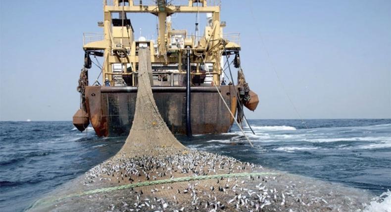 flotte de bateaux de peche