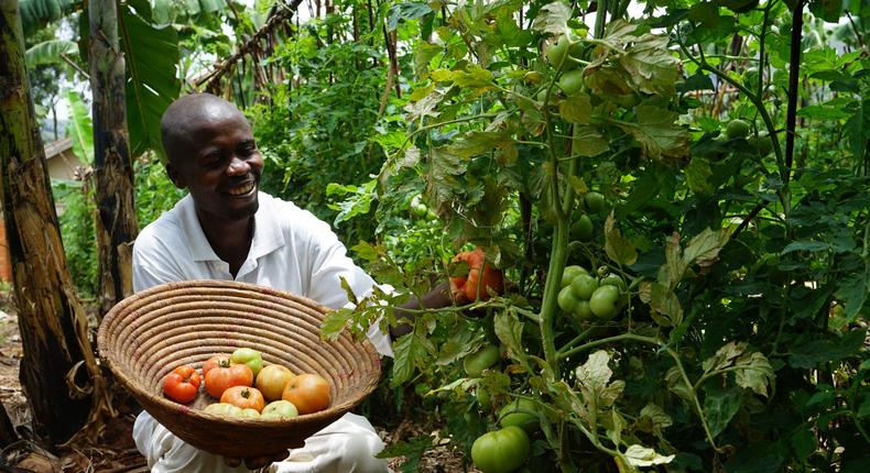 A fruit and vegetable farmer in Uganda 