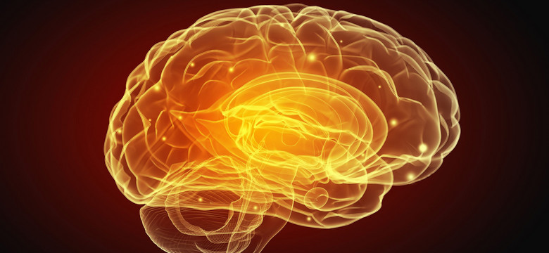 Jak zapobiec udarowi mózgu? Konkretne zalecenia