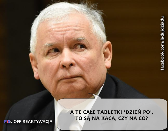 mem / PiSs off reaktywacja