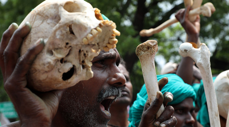 Folytatják a tüntetést azok az indiai gazdák, akik több pénzt követelnek /Fotó: MTI