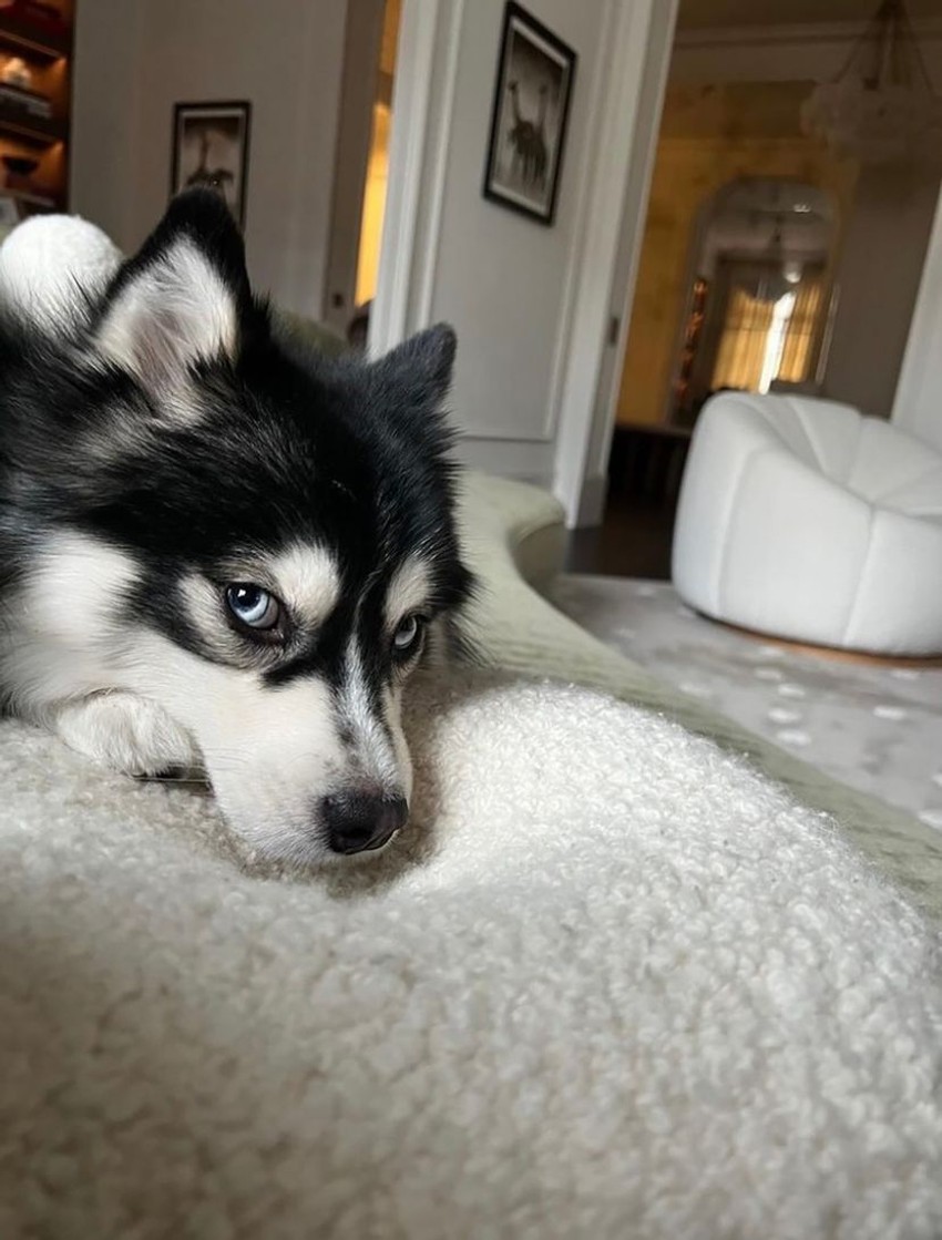 Piksijeva ćerka Anja živi u neverovatnom luksuzu