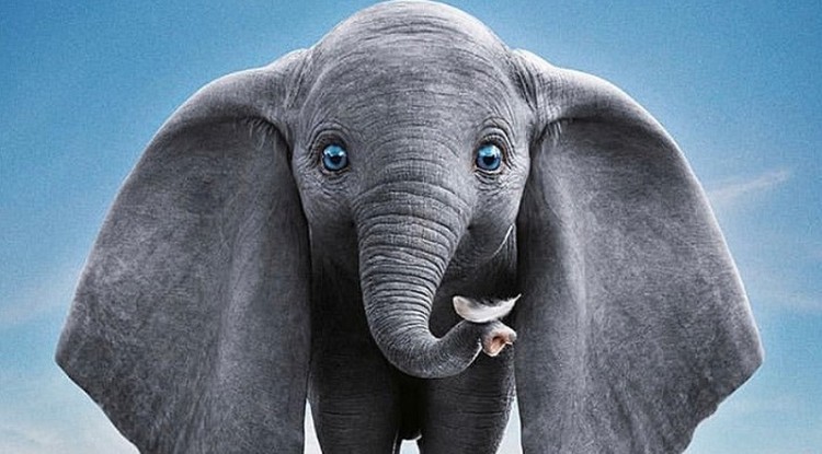 Dumbo