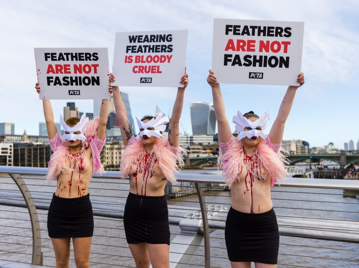 Protest członów PETA na London Fashion Week przeciwko używaniu naturalnych piór