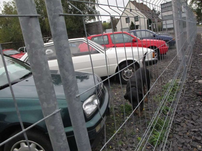 Czy warto jechać po auto do Niemiec?