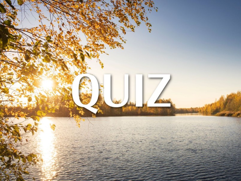 quiz