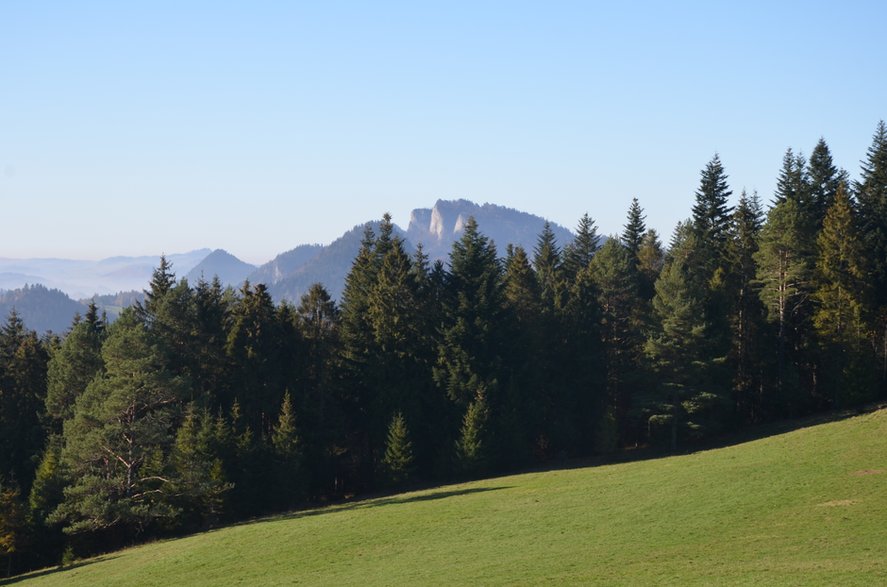 Widok z polany Pod Huściawą w kierunku Trzech Koron.