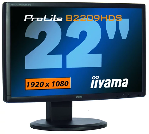 iiyama B2209HDS - wielozadaniowy monitor domowy