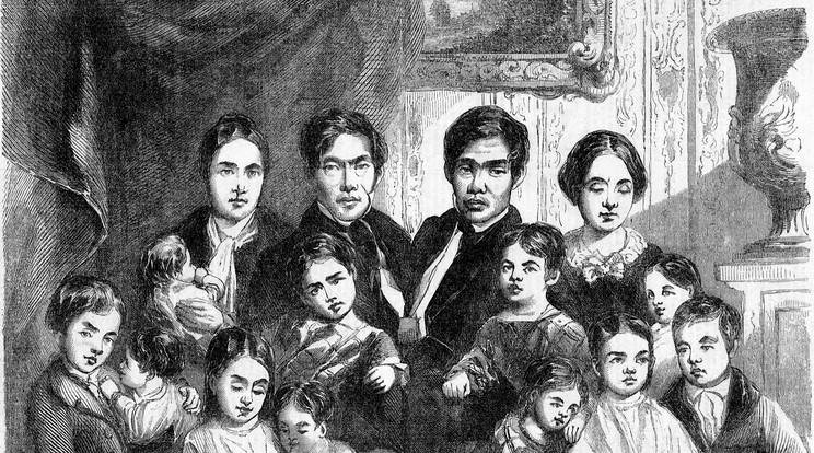 Az 1800-as években készült ez a családi kép: testvérpárt﷯vettek feleségül / Fotó: Getty Images