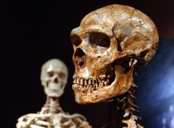 Jaskiniowcy z Hiszpanii byli kanibalami