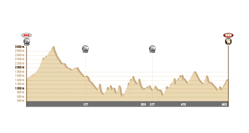 Dakar 2014: Polacy wśród najlepszych (10. etap, wyniki)