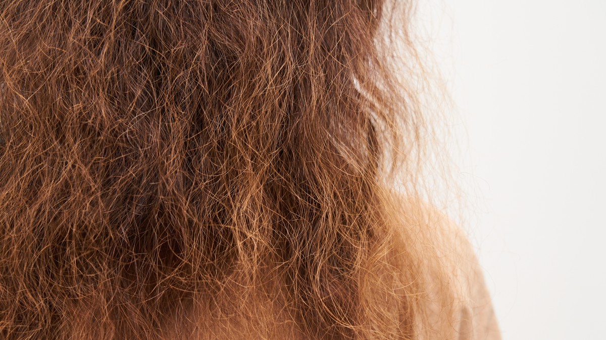 Suva kosa može da bude posledica čestog pranja kose