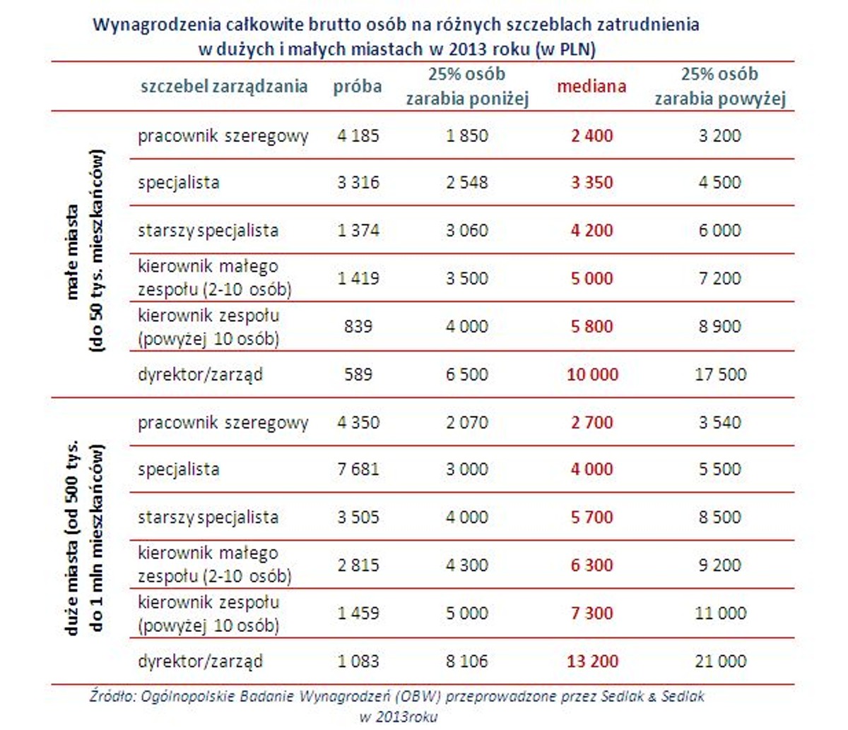 Wynagrodzenia całkowite brutto osób na różnych szczeblach zatrudnienia w dużych i małych miastach w 2013 roku (w PLN)