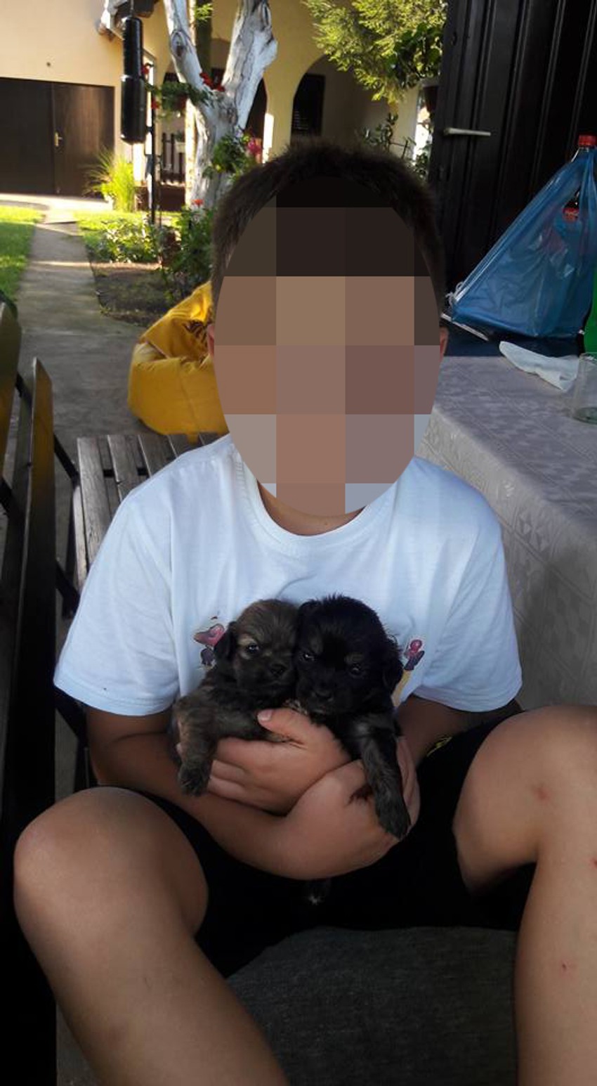 Dečak koji je stradao