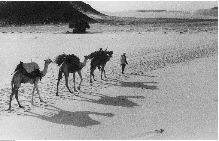 Karawana Kazimierza Nowaka na Saharze w 1936 r. (fot. NAC)