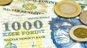 Hungary's elections have pumped up the forint. The Hungarian currency is the strongest in years