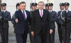 Protesty przed Pałacem Prezydenckim. Lewica upominała się o solidarność z turecką opozycją