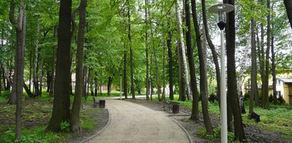 Mieszkańcy chcą wyciąć park, bo ptaki śpiewają, a liście wywołują depresję. Jest petycja