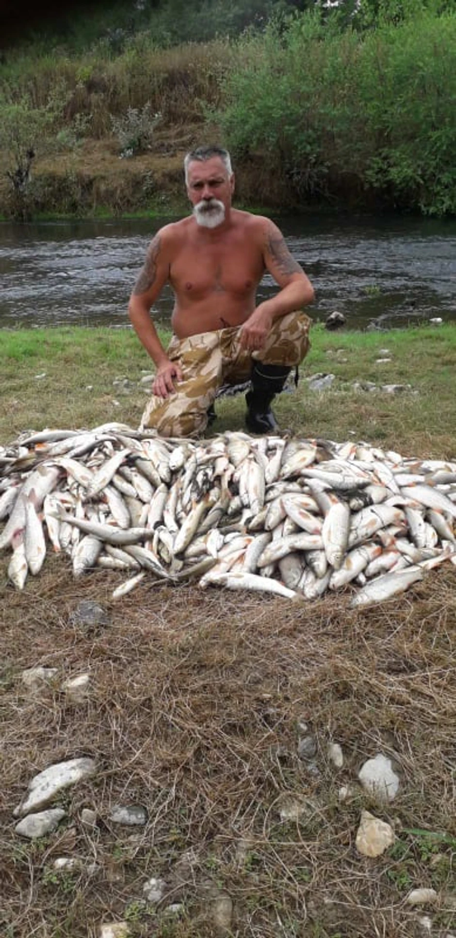 Ribočuvar Ognjen Krnetić i njegove kolege su za sada izvukli 600 kilograma uginule ribe iz reke