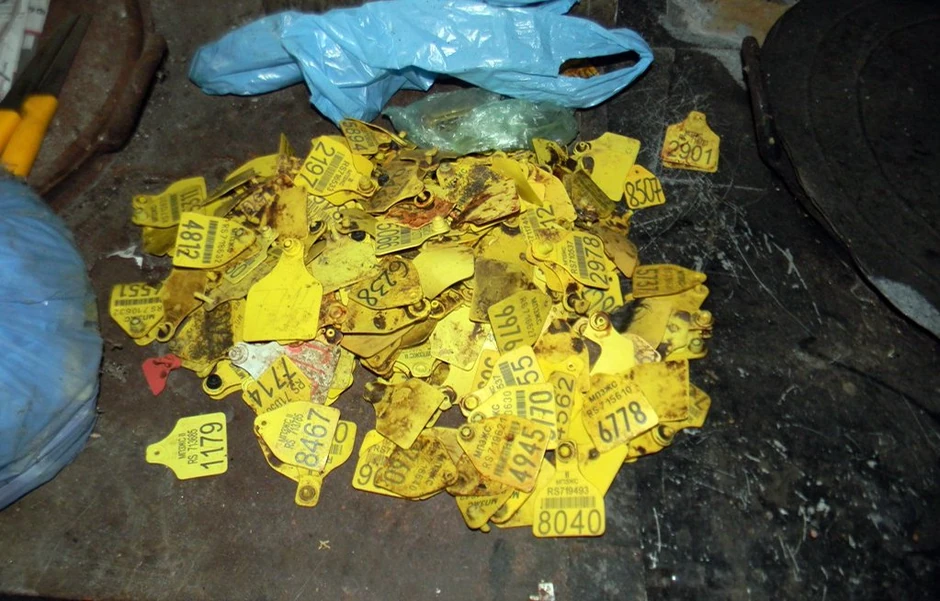 Otkrivena nelegalna klanica u Ratkovu