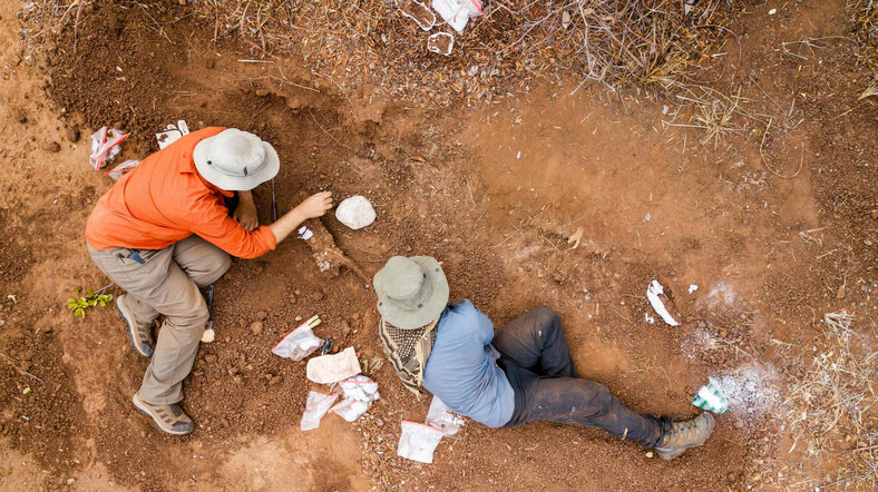 Paleontolodzy Sterling Nesbitt (z lewej) i Christopher Griffin na stanowisku w Zimbabwe w maju 2019 r.