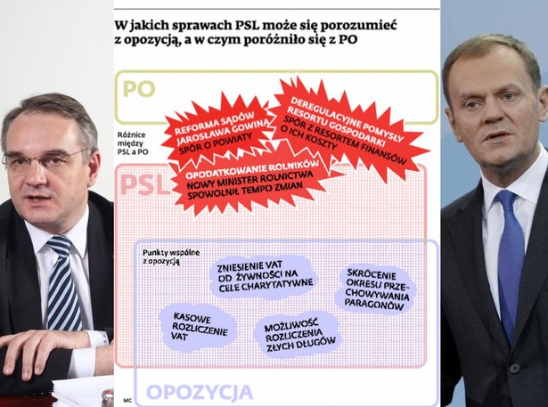 W jakich sprawach PSL może się porozumieć z opozycją, a w czym poróżniło się z PO