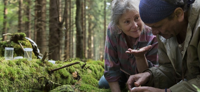 "Pokot" nie powalczy o Oscara. Nie ma go na liście filmów zakwalifikowanych do walki o statuetkę