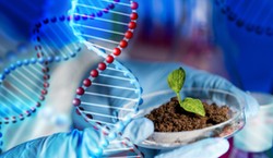 Bardzo prosty QUIZ z BIOLOGII. Sprawdź, czy wiesz tyle, co uczeń podstawówki. Mniej niż 9/10 to już wstyd