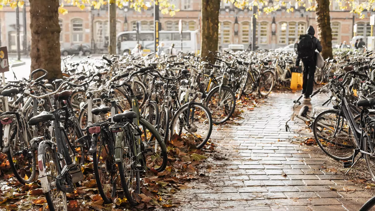 Władze Flandrii reagują na rosnącą popularność rowerów i związane z tym niebezpieczeństwo