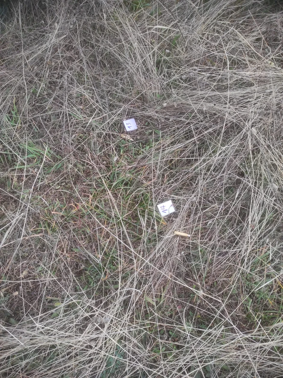 Napad na Vojsku Srbije