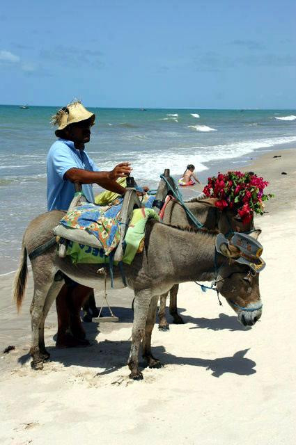 Galeria Brazylia - Canoa Quebrada, obrazek 17