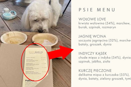 Menu brzmi apetycznie? Te dania nie są dla ludzi, nowy trend rozkwita