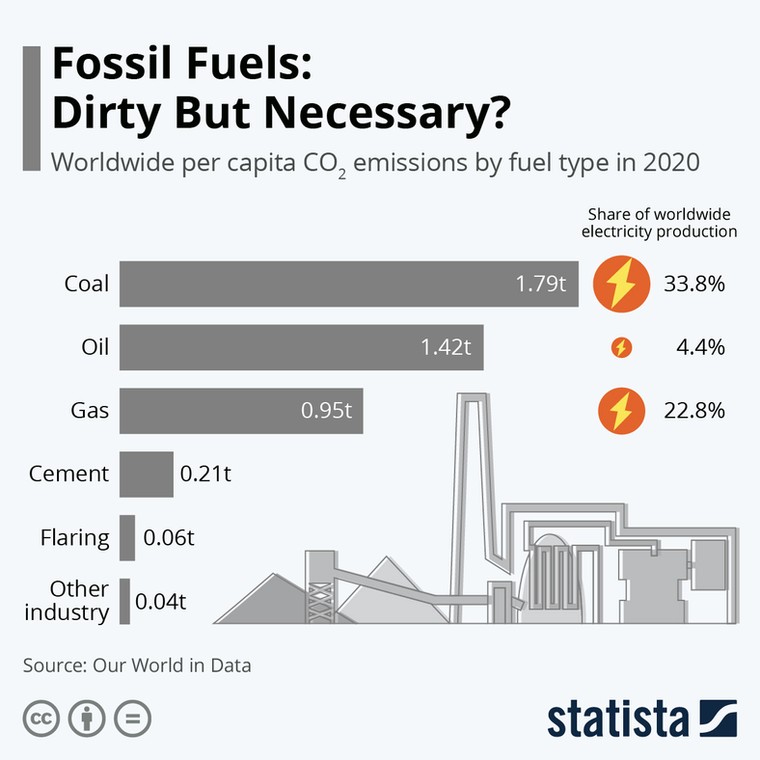 Światowa emisja CO2 na mieszkańca według rodzaju paliwa w 2020 r.