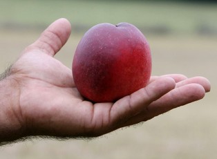 Polskie witaminy najtańsze na świecie
