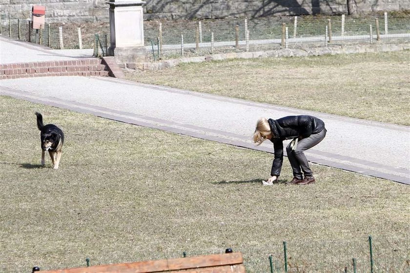 Torbicka sprząta po psie. Foto