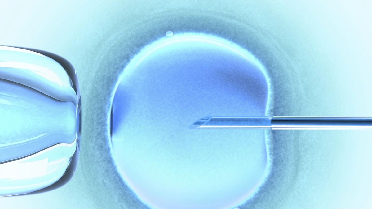 ZAPLODNIENIE IN VITRO MEDYCYNA 